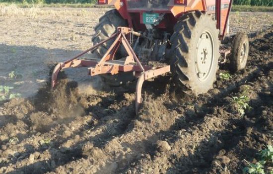 podricac sa dva paoka