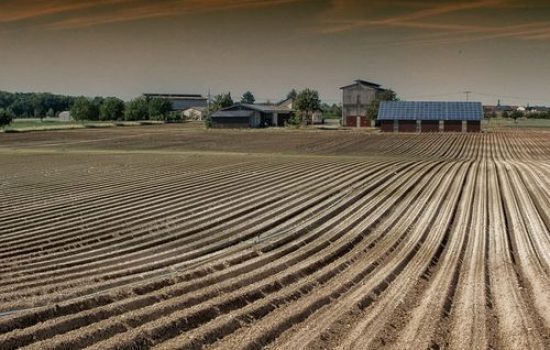 polje i farma