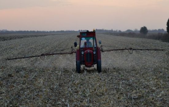 images_agrosfera_agroteme_prskalica