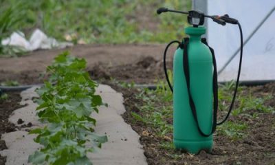 images_agrosfera_agroteme_prskalica_u_plasteniku