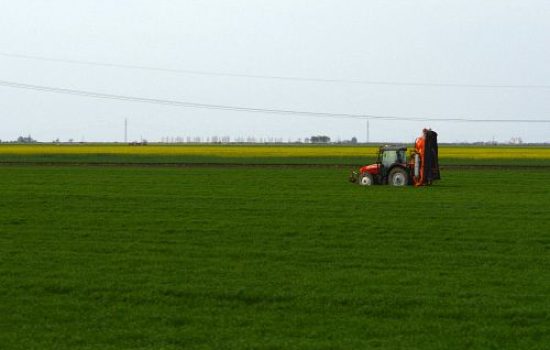 images_agrosfera_agroteme_prskalica_u_zitu