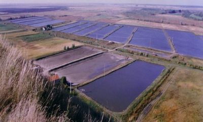 images_agrosfera_agroteme_ribnjak