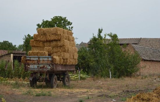seno na kolima