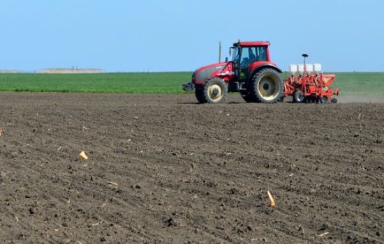images_agrosfera_agroteme_setva_kukuruya