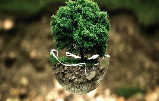 images_agrosfera_agroteme_zivotna_sredina