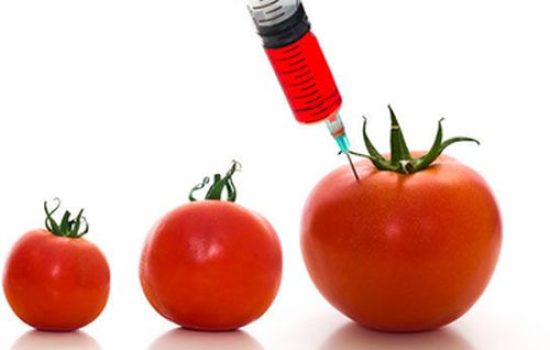 gmo 3