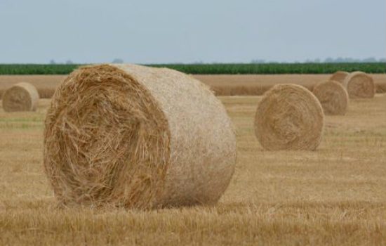 rotobale 2