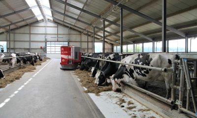 konkurs-farme