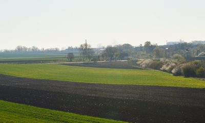 konkurs-za-zemljiste