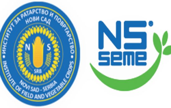 logo-ns-seme-1