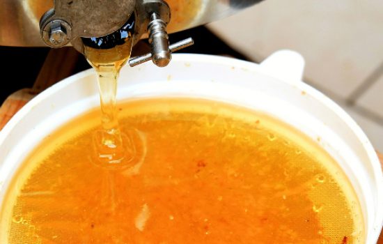 SPOS izabrao lokaciju za izgradnju fabrike