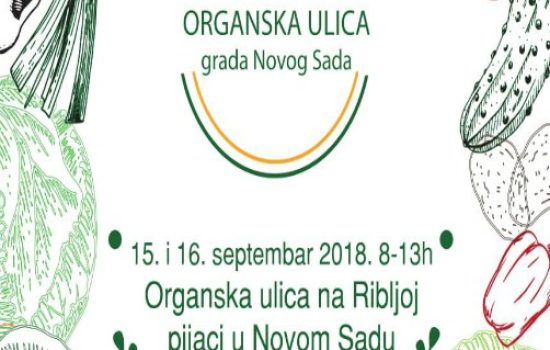 organska-ulica-NS