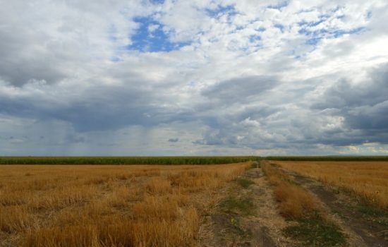 povrsine-njive-leto