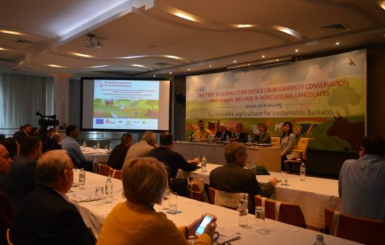 regionalna-konferencija-ZR