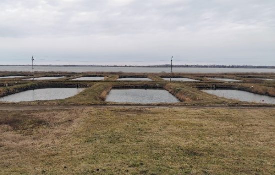 ribarstvo