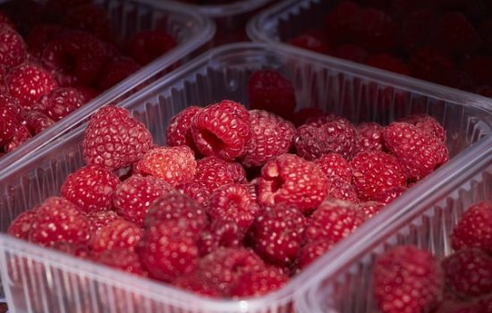 rod-maline