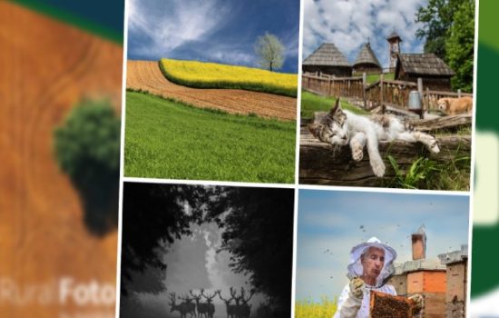 ruralfoto