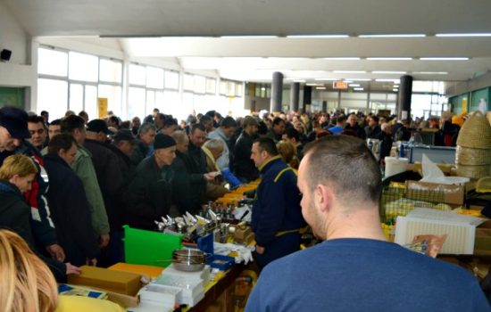 sajam-pcelara-vojvodine