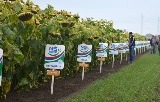 savetovanje-agronoma