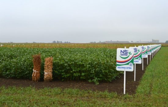 savetovanje-agronoma