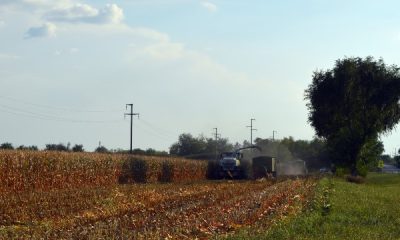 silaza