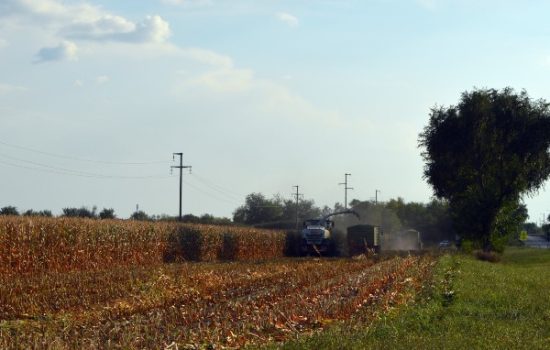 silaza