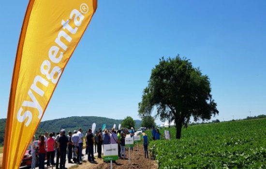 syngenta-4
