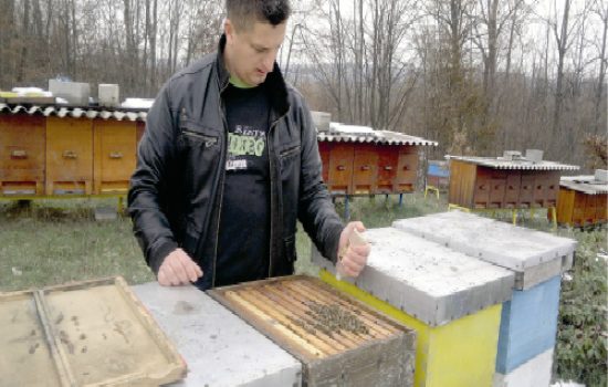 tretman-oksalnom-kiselinom-1